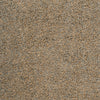 Surya Luxury Shag LXY-1736 Area Rug