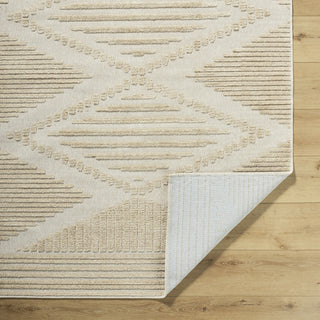 Livabliss Lyna LYA-2339 Beige Machine Washable Area Rug Pile