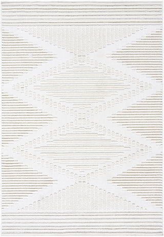Livabliss Lyna LYA-2341 Machine Washable Area Rug by Surya main image