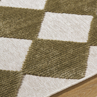 Livabliss Lyna LYA-2348 Machine Washable Area Rug by Surya Detail