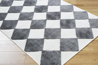 Livabliss Lyna LYA-2350 Machine Washable Area Rug by Surya Corner Shot