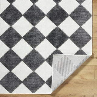 Livabliss Lyna LYA-2350 Machine Washable Area Rug by Surya Pile