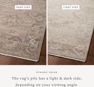 Loloi Lyra LYR-01 Blush/Dove Area Rug