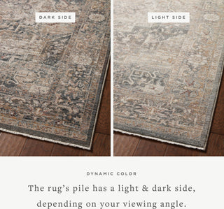 Loloi Lyra LYR-06 Denim/Sand Area Rug