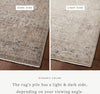 Loloi Lyra LYR-06 Natural/Gold Area Rug