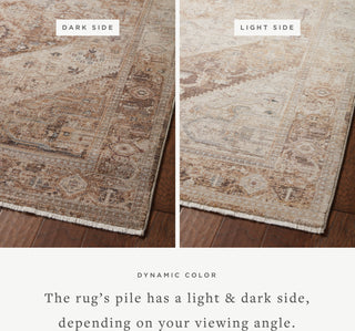 Loloi Lyra LYR-07 Natural/Mocha Area Rug