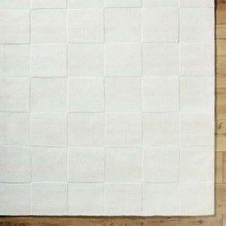 Surya Mystique M-5499 Area Rug Detail Image