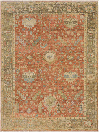 Karastan Sundar Mandir Rust Area Rug main image