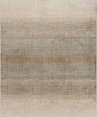 Karastan Milestones Mankota Light Grey Area Rug by Drew and Jonathan Home