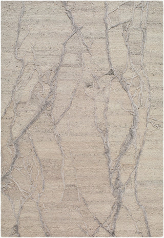 Surya Marmo MAO-2300 Beige Area Rug main image
