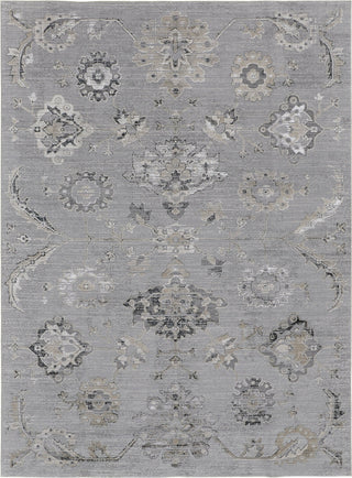 Feizy Macklaine 39FQF Silver/Beige Area Rug