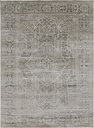 Feizy Macklaine 39FRF Beige/Gray Area Rug