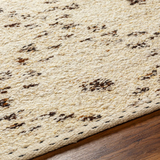 Surya Machu Picchu MCU-1004 Area Rug Detail