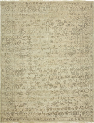 Ancient Boundaries Medes MED-183 Beige Area Rug Main Image