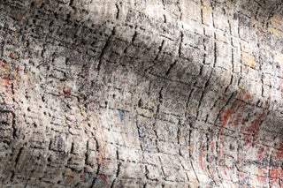 Loloi Medusa MED-07 Graphite/Sunset Area Rug Room Image Feature