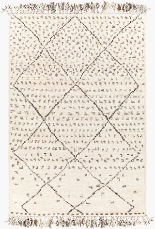 Surya Meknes MEK-1004 Area Rug Main