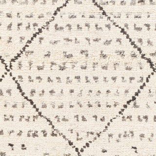 Surya Meknes MEK-1004 Area Rug Swatch