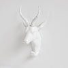 Mercana Dugaleon 44229 White Wall Art Alternate Image