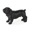 Hugo Black Resin Bulldog Main Image