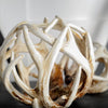 Mercana Ramus 57801 White Alternate Image