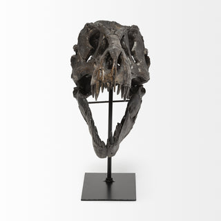 Mercana Jurassic 67025 Brown Alternate Image