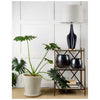 Mercana Bravar 65358 Gray Lamp Alternate Image