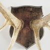 Mercana Sika 67646 Natural Wall Art Alternate Image
