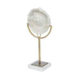 Mercana Sandy 67984 White main image