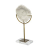 Sandy II (Medium) White Coastal Sand Dollar Object Main Image