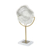 Sandy I (Small) White Coastal Sand Dollar Object Main Image