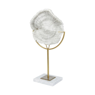 Sandy I (Small) White Coastal Sand Dollar Object Main Image