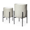 Mercana Mabel 68815 Gray Furniture main image