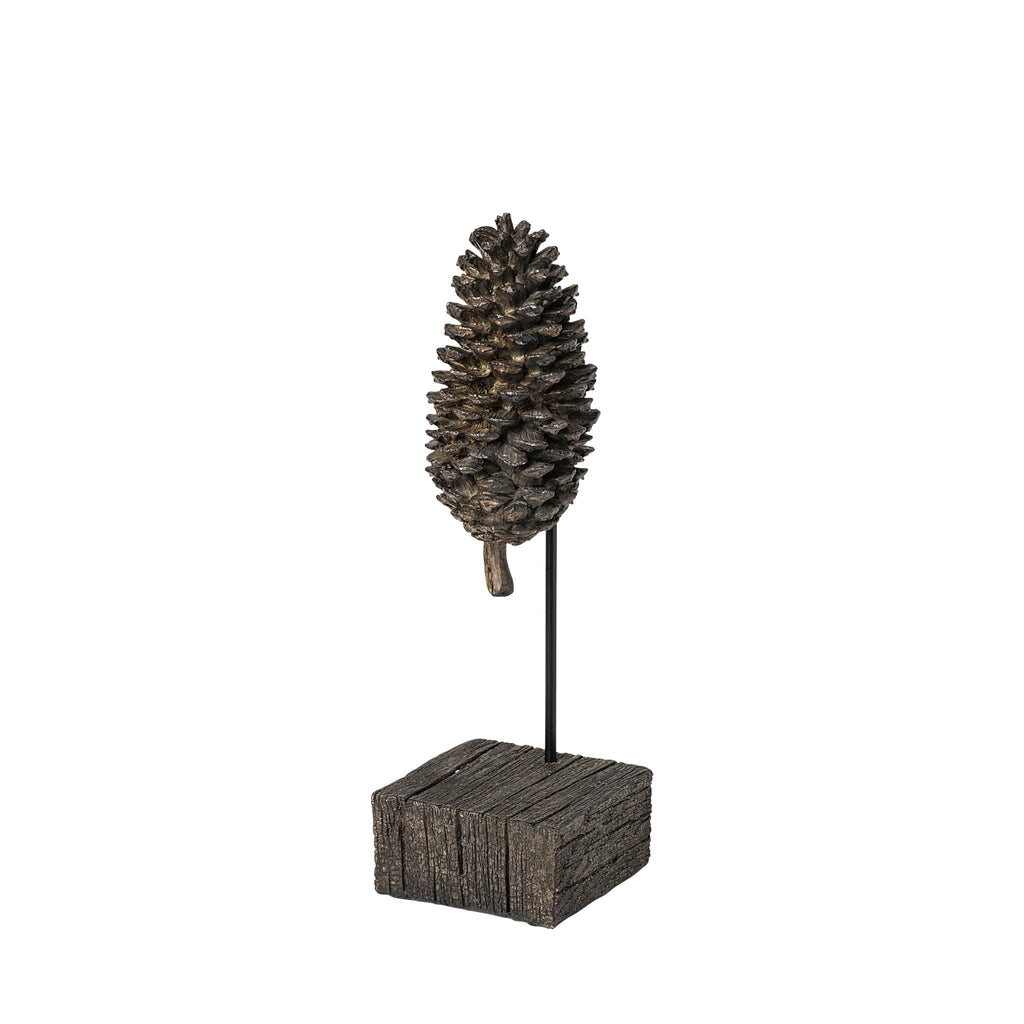 Mercana Pinterra 68922 Brown main image