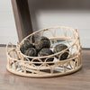 Mercana Leona 68994 Brown Lifestyle Image