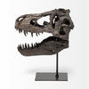 Mercana Jurassic 67025 Brown Alternate Image