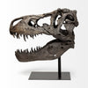Mercana Jurassic 57430 Brown Alternate Image
