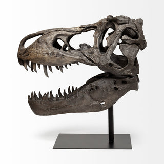 Mercana Jurassic 57430 Brown Alternate Image