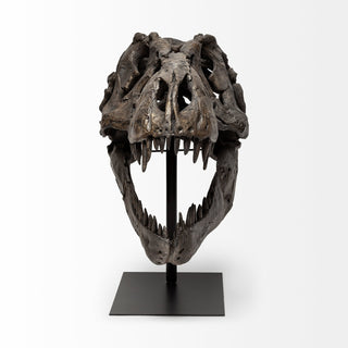 Mercana Jurassic 57430 Brown Alternate Image