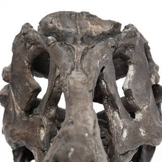 Mercana Jurassic 67025 Brown Alternate Image