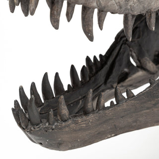 Mercana Jurassic 67025 Brown Alternate Image