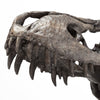Mercana Jurassic 67025 Brown Alternate Image
