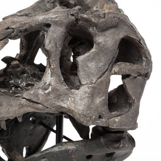 Mercana Jurassic 67025 Brown Alternate Image