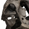 Mercana Jurassic 57430 Brown Alternate Image