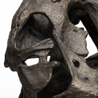Mercana Jurassic 57430 Brown Alternate Image