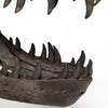 Mercana Jurassic 57430 Brown Alternate Image