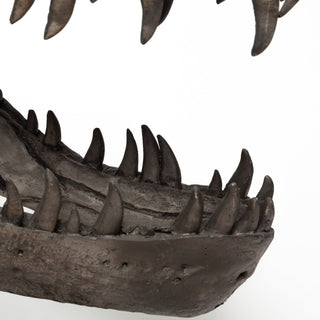 Mercana Jurassic 57430 Brown Alternate Image