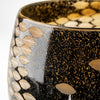 Mercana Mojave 69036 Black/Gold Alternate Image