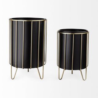Mercana Pianta 67919 Black Furniture Alternate Image