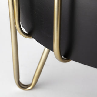 Mercana Pianta 67919 Black Furniture Alternate Image