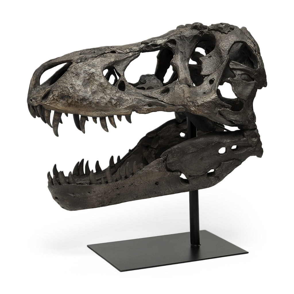 Mercana Jurassic 57430 Brown main image